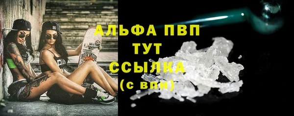 ешки Дмитриев