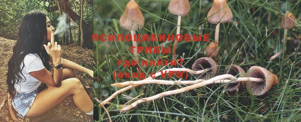 MDMA Premium VHQ Гусев