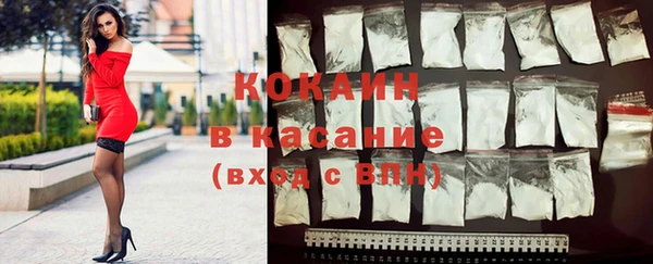 ешки Дмитриев