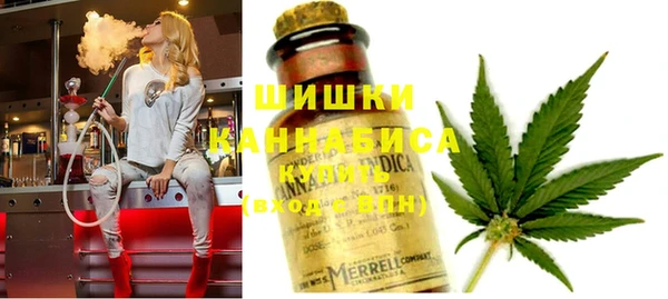 spice Гусиноозёрск